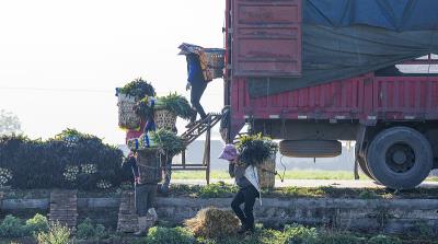 烤网采纳深圳跨境物流送到瑞典哥德堡