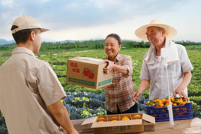 深圳市天晨达物流有限公司