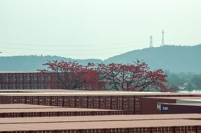 湛江市启达物流有限公司