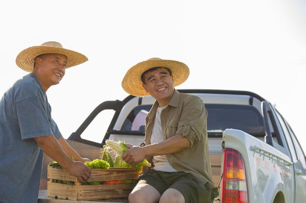 江苏—南京到墨西哥—蒙特雷拼箱海运绿色海运走廊
