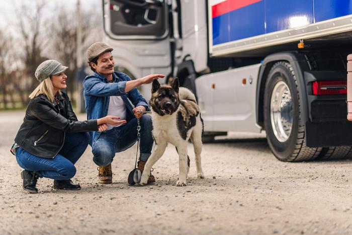 深圳市易力达物流有限公司