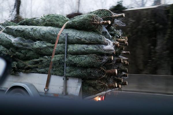 广州跨境通物流有限公司