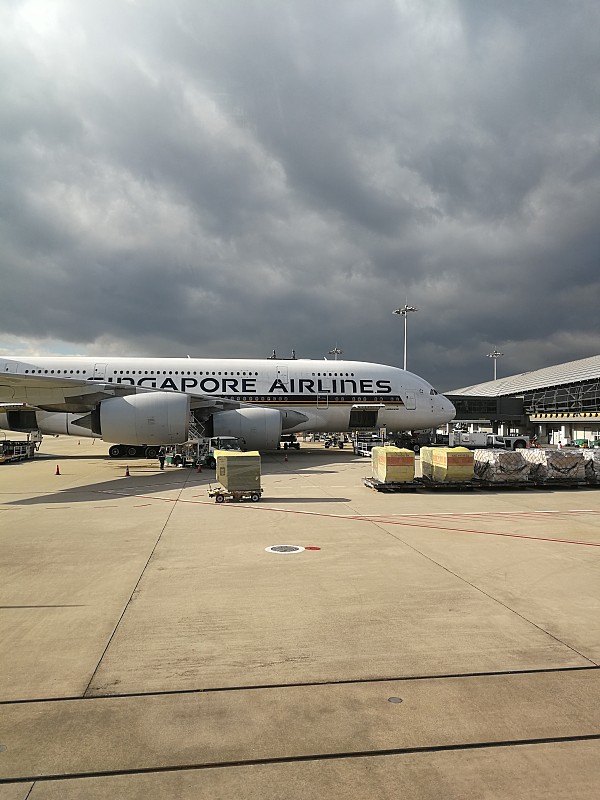 广西建鸿物流有限公司