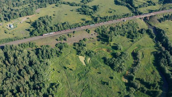 上海锦顺国际物流有限公司