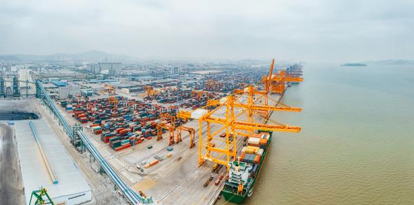 深圳市大金集运物流有限公司