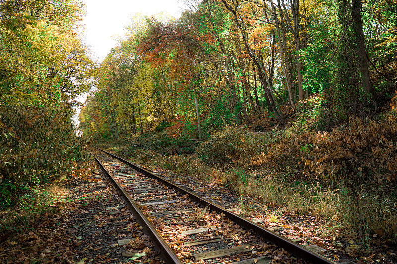 中山市王氏物流有限公司