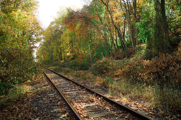 中山市王氏物流有限公司
