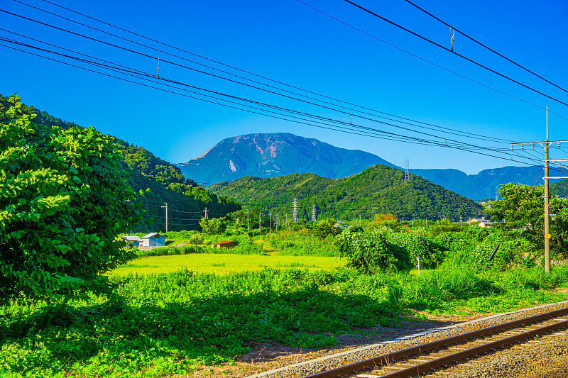 深圳市顺心速捷物流有限公司