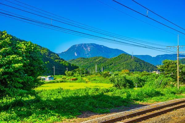 深圳市顺心速捷物流有限公司