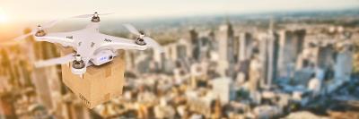 岑溪市蓝景丽家物流有限公司