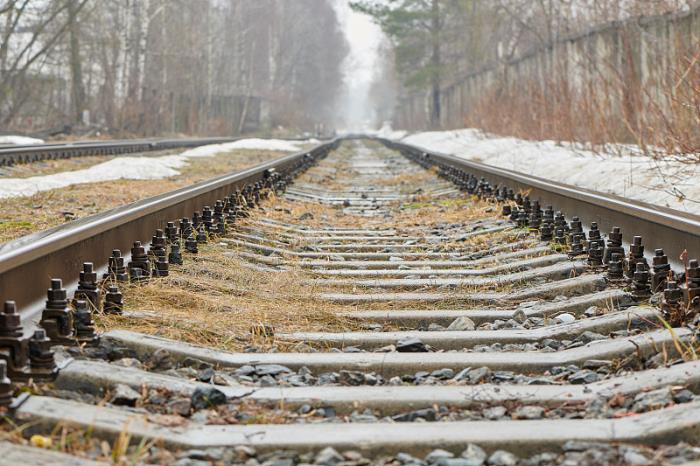 东兴市锋红物流有限公司