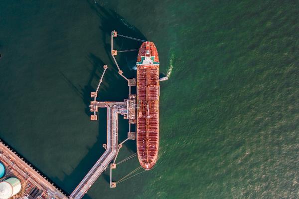 >东莞市嘉扬国际物流有限公司