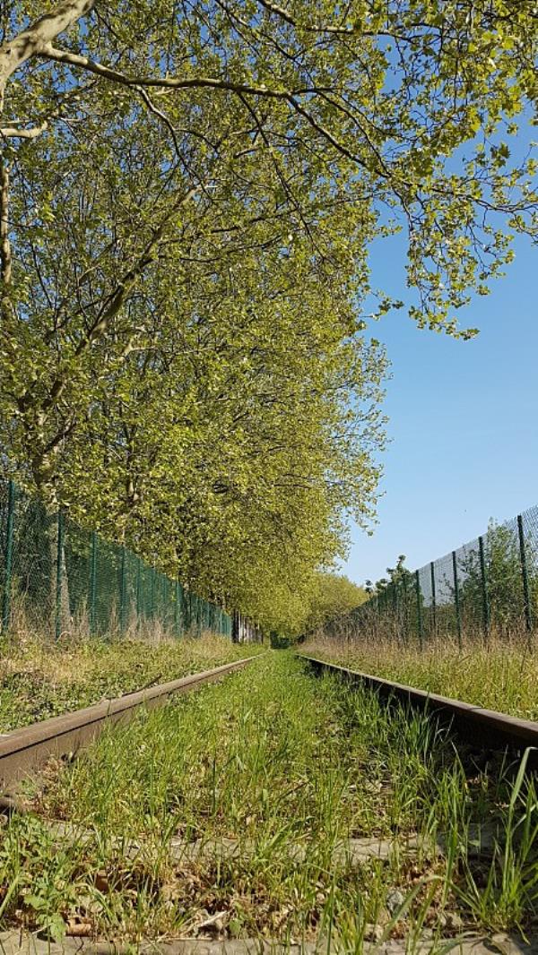 大庆云托邦物流有限公司