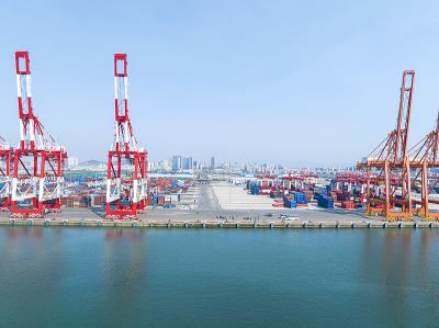 广西自贸区鸿骏达物流有限公司