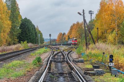深圳市奇胜达物流有限公司