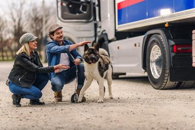 深圳市易力达物流有限公司