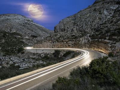 广州市冈东物流有限责任公司