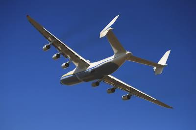 上海瑞亚物流有限公司