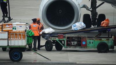 苹果、柑橘通过南京港到港海运快递至希洪 (Gijón)