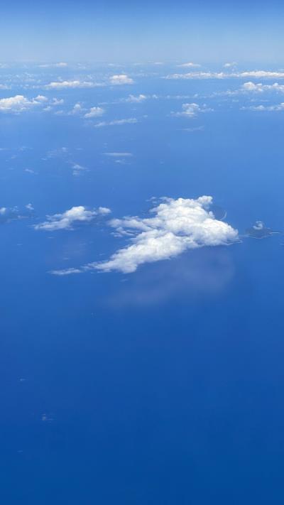 北京马毛使用空运派送13天内速递到西班牙帕尔马马洛卡