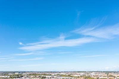 中国上海轴承、阀门使用空运10天内送到维多利亚 (Vitoria-Gasteiz)