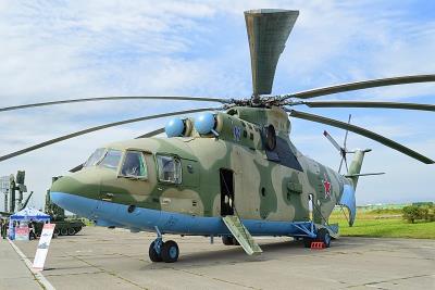 广州到维多利亚 (Vitoria-Gasteiz)的发财树种子采用航空货运11天送到