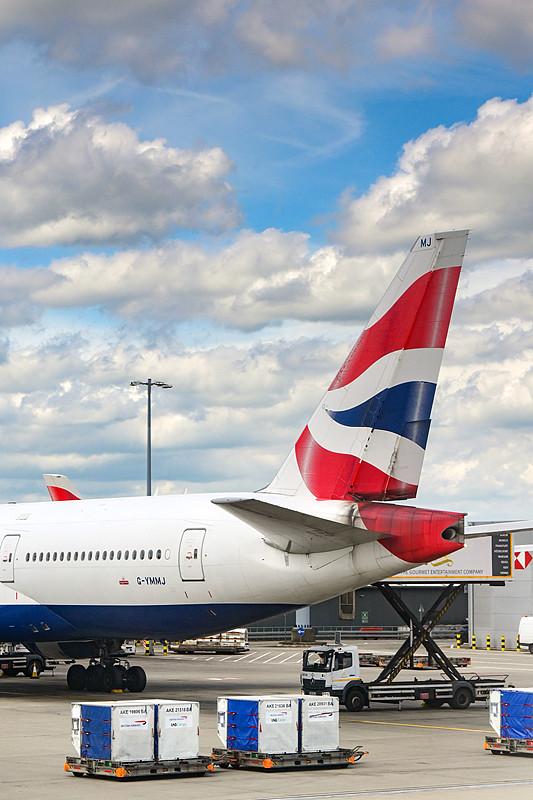 杂项食品运用深圳海洋运输承运至新加坡