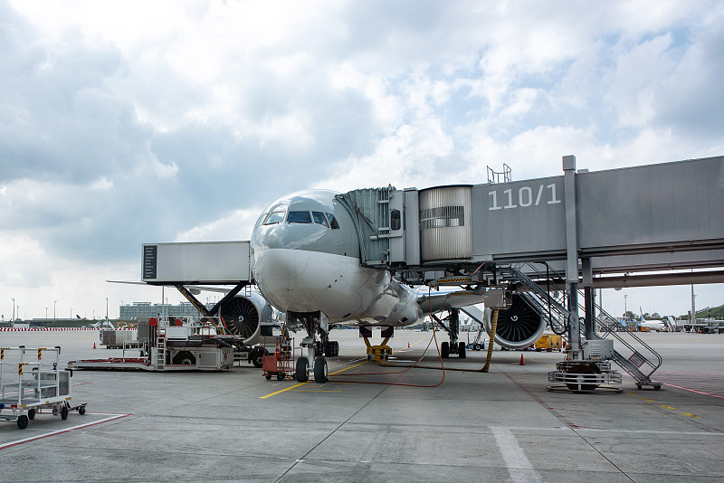 中国福州编结用植物材料使用空运派送10天内送达维哥