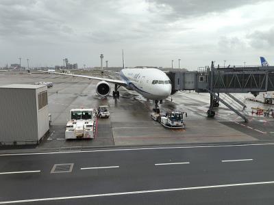 中国西宁香水采用国际空运9天内配送到西班牙卡塔赫纳 (Cartagena)