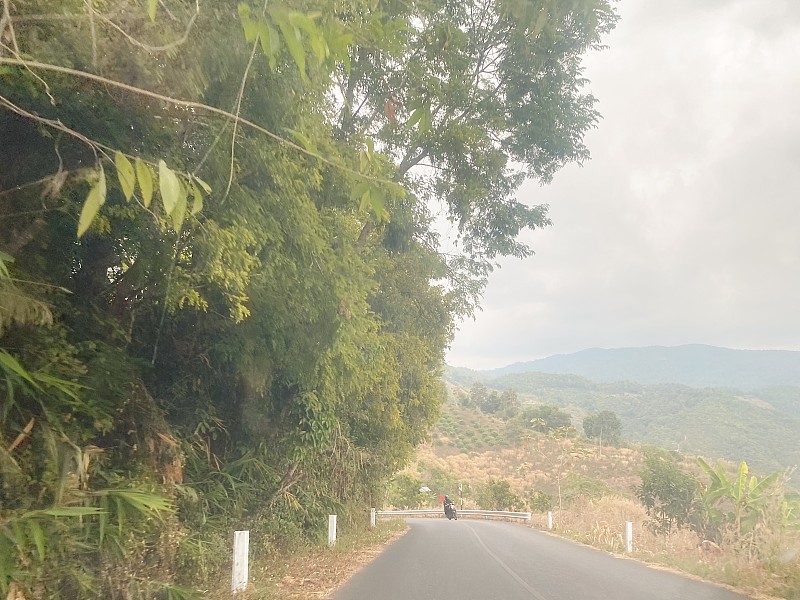 干发帽采纳东莞LCL海运准时送达西班牙塞维利亚 (Sevilla)