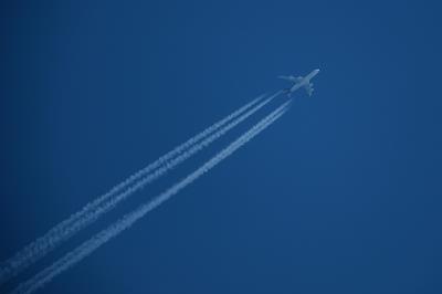 合肥至阿尔赫西拉斯 (Algeciras)的薇诺娜防晒霜采用空运专线9天速递到