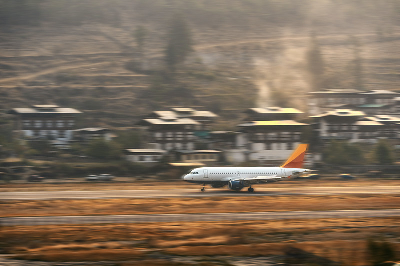 绿柄桑木借用中国广州集装箱运输配送到西班牙马拉加