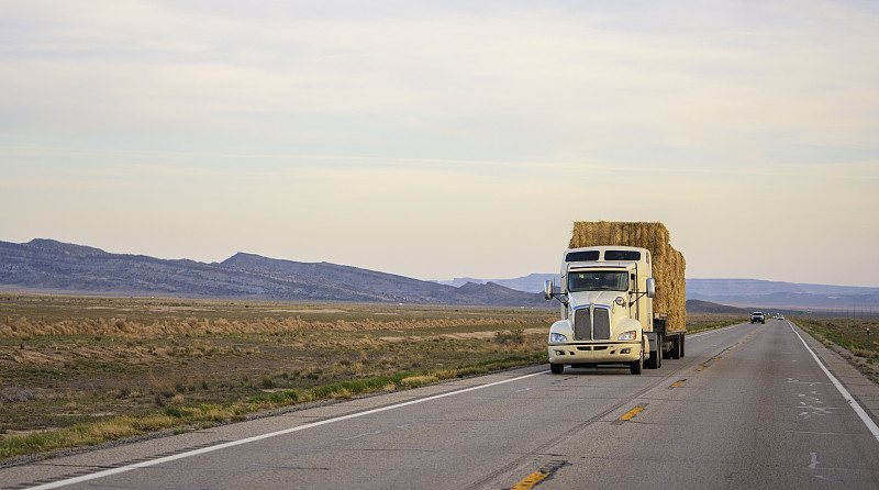 成衣借用中国青岛空海联运送达西班牙毕尔巴鄂 (Bilbao)