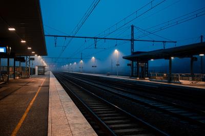 鱼产品借用中国深圳海运发往维哥 (Vigo)