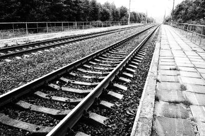 非洲楝木厦门港到港海运快速送达西班牙加的斯 (Cadiz)