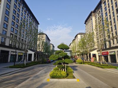 化肥采纳武汉空海联运高效送达西班牙卡塔赫纳