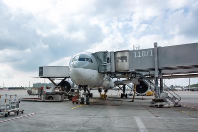 中国福州编结用植物材料使用空运派送10天内送达维哥