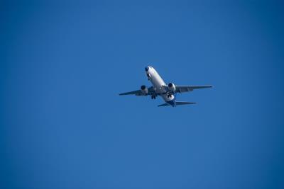 苹果、柑橘运用成都拼货空运送到西班牙费罗尔 (Ferrol)