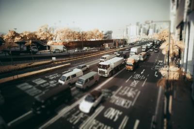 大蒜、生姜利用上海港到港海运抵达西班牙塔拉戈纳
