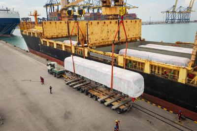 头皮按摩刷/洗发水按摩器通过深圳国际运输运到法国马赛