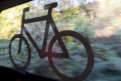 小家电通过深圳散货船运输快速送达维哥