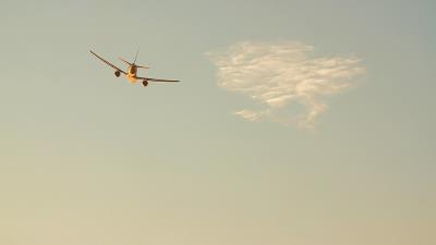 工程机械通过大连飞机运输送达西班牙维哥 (Vigo)