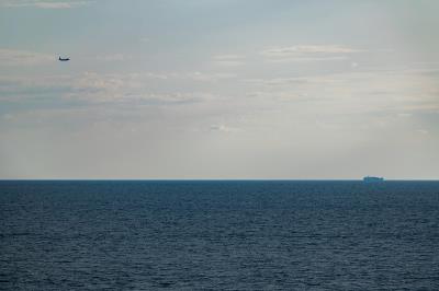 空竹采纳中国上海空运配送到卡塔赫纳 (Cartagena)