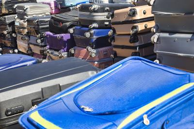 月见草籽采用中国深圳整箱海运快速送达西班牙维多利亚 (Vitoria-Gasteiz)