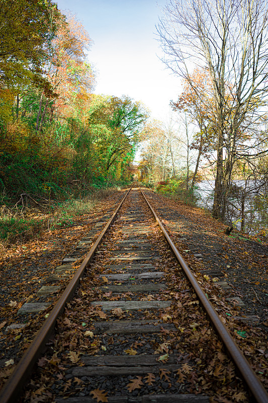 快速到西班牙的快递多久