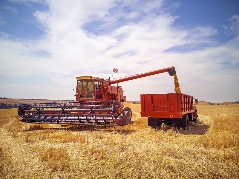 跨境电商物流的运费受哪些因素影响？