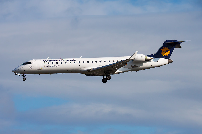 西班牙榴莲进口物流价格