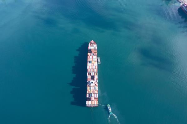 查询国际物流快递单号