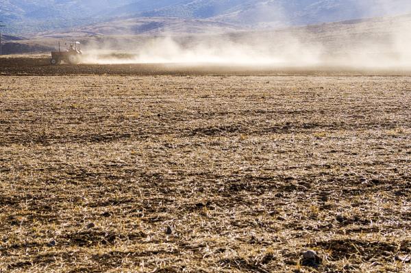 出口跨境物流方式有哪些