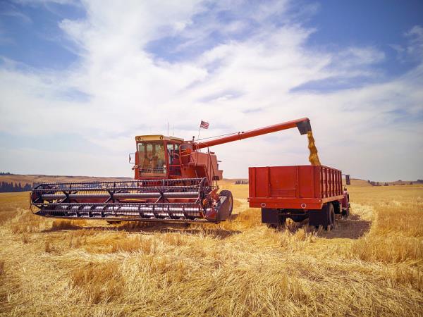 跨境电商物流的运费受哪些因素影响？